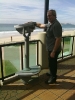 Tugun SLSC_1